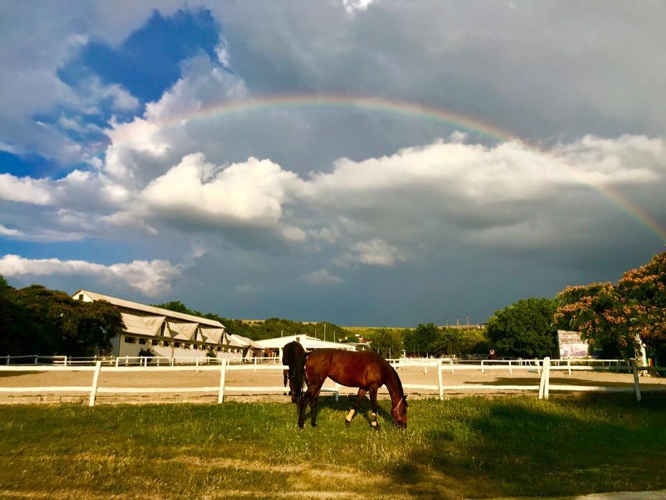 ЛКХ Конюшня Вайнеровского