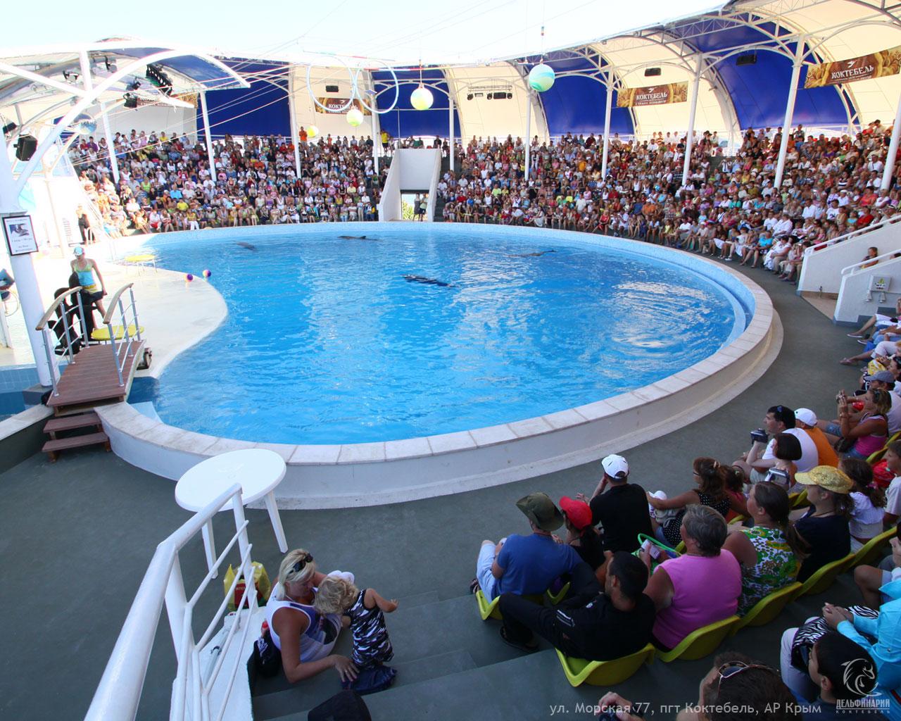 Дельфинарий «Коктебель»
