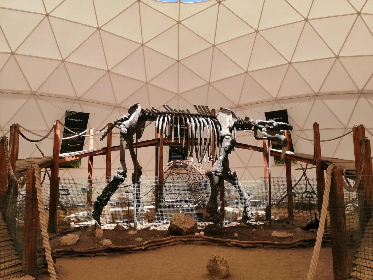 Парк птиц «Динотерий»